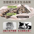 寵物啃咬響紙發聲絨毛捲_3