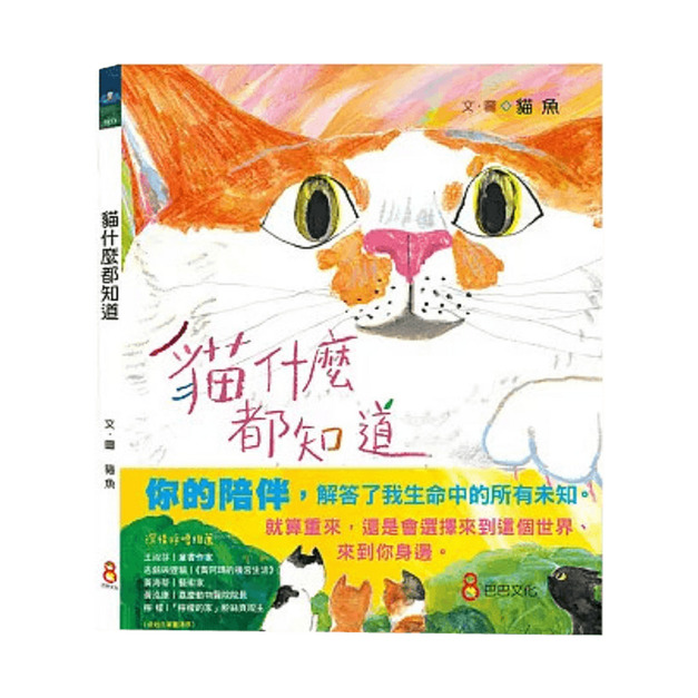 貓什麼都知道
