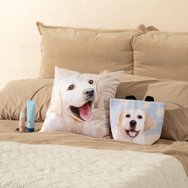 光棍公益組合B│喜見你出入都平安