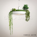 清新 北歐風 植物系 吊燈 如空中花園般 餐廳燈 盆栽 吊燈_2
