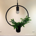 清新 北歐風 植物盆栽 吊燈 如空中花園般 餐廳燈 幾何盆栽 吊燈 -圓_2