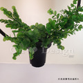 清新 北歐風 植物盆栽 吊燈 如空中花園般 餐廳燈 幾何盆栽 吊燈 -圓_4