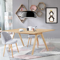 北歐 極簡 簡約 風格 LOFT 風格家具 和風A字 餐桌 - 170CM_1