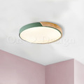 北歐極簡風格 設計師的燈款 多彩 居家 超薄 圓極 LED 吸頂燈 50CM 主燈 -綠色_1