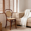 北歐風 經典 藤面 櫸木法式 餐廳椅 實木 10號 藤面椅墊 餐椅-胡桃木色_2