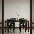 歐洲進口品牌 POLISH FAMEG Furniture 設計款 A-788 FAN 彎木無扶手餐椅 - 黑色_4