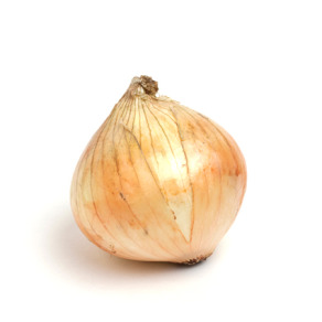 有機洋蔥 500-600g