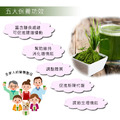 (全新到貨批次)樸優樂活-大麥若葉青汁(100g/包)-多件組更優惠_4