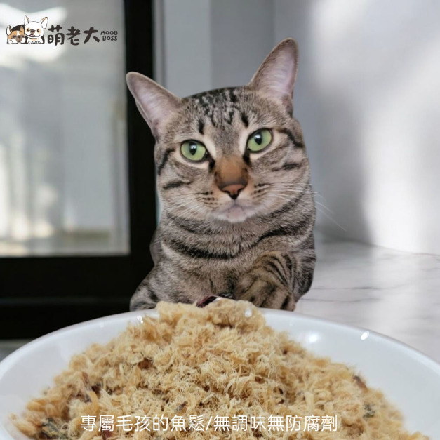 ｜萌老大｜時令魚鬆