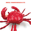 ★福利品【德國Moses】廚師風-仿真磁吸螃蟹(微瑕疵)_4