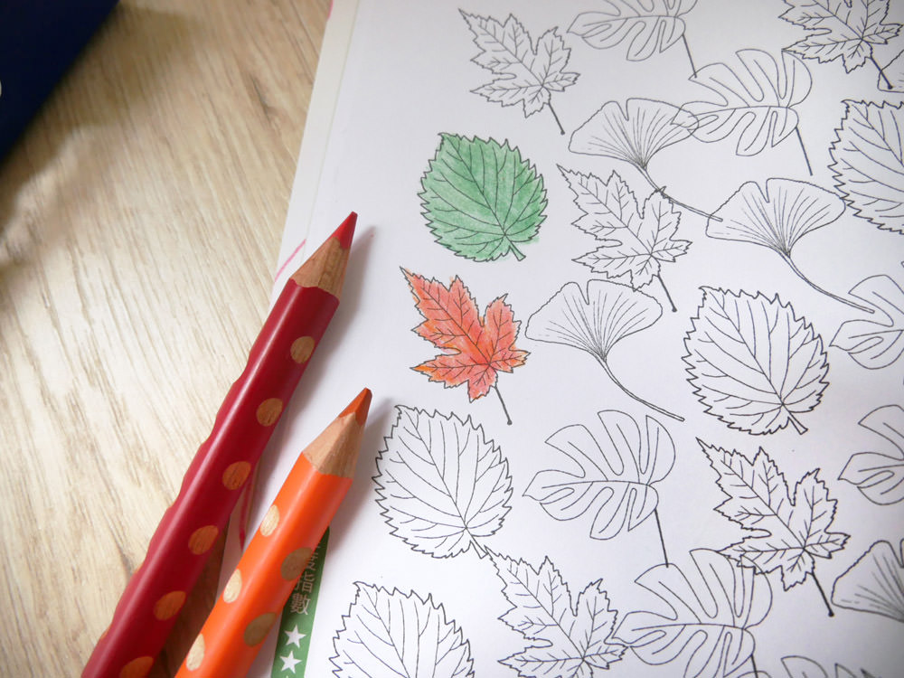 [啾團] 德國LYRA開始拿鉛筆了!開學學寫字必備.讓運筆更穩更順的好用鉛筆(另有美國The Pencil Grip握筆器及法國Maped畫具)