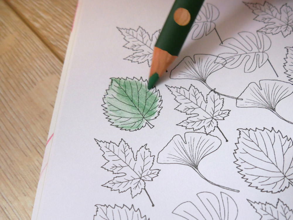 [啾團] 德國LYRA開始拿鉛筆了!開學學寫字必備.讓運筆更穩更順的好用鉛筆