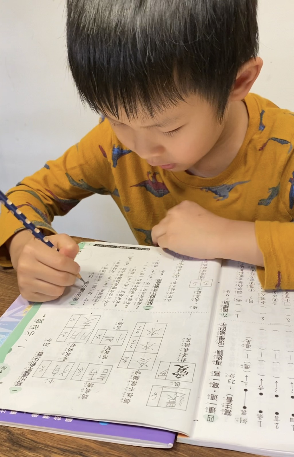 [啾團] 德國LYRA開始拿鉛筆了!開學學寫字必備.讓運筆更穩更順的好用鉛筆