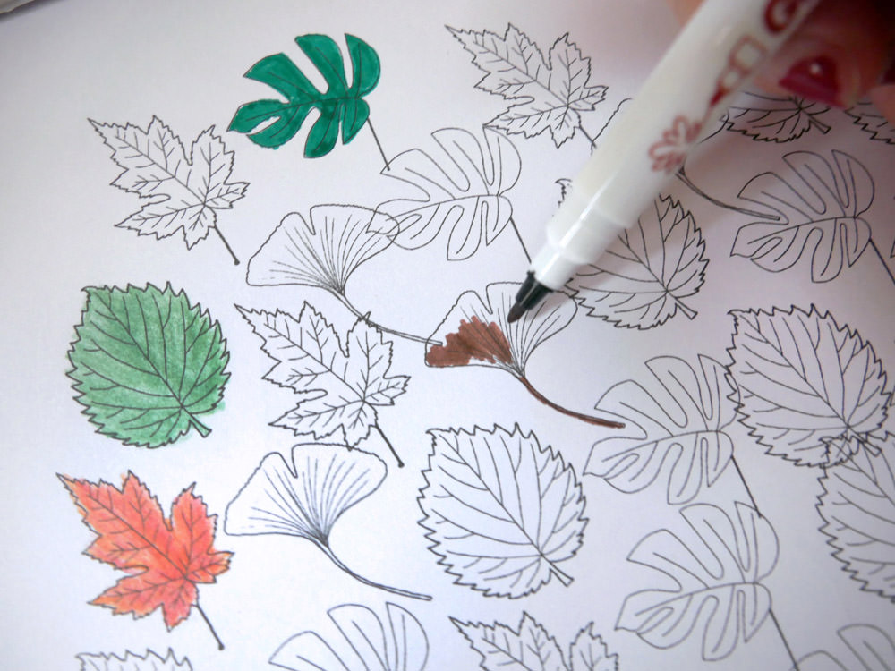 [啾團] 德國LYRA開始拿鉛筆了!開學學寫字必備.讓運筆更穩更順的好用鉛筆