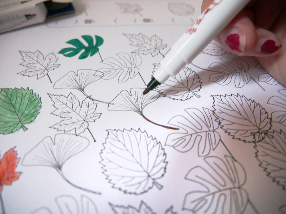 [啾團] 德國LYRA開始拿鉛筆了!開學學寫字必備.讓運筆更穩更順的好用鉛筆