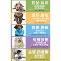 【綠咖咖果凍骨】狗狗潔牙玩具（4尺寸）全犬種適用_11