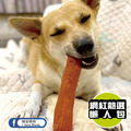 【BBQ史迪克】狗狗潔牙玩具（4尺寸）全犬種適用_7