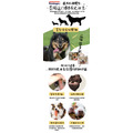 福利品【BBQ史迪克】狗狗潔牙玩具-L號（大型犬16kg以上適用）_4