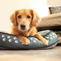 P.L.A.Y. Dog on Wire Round Bed 狗狗線條圓床｜午夜藍／杏仁灰・S／M_5