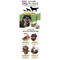 福利品【耐咬史迪克】狗狗潔牙玩具L號（大型犬16kg以上適用）_3