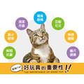 【圓盤貓抓板】Scratch Snggl & Rst Mlt 貓咪的多功能休憩天堂_17