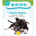 【寵物益智、藏食玩具】Planet Dog 埋鼻缽藏食蓋(和平綠)（可搭配埋鼻缽使用）_8