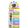 【瘋狂傑克六角椎】狗狗發聲玩具（小/中/大型犬）｜Outward Hound｜3 種發聲＋不規則彈跳_6