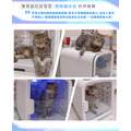 【韓國CUCKOO】nello多功能寵物健康美容機 空氣清淨/烘毛箱 2026新色上市 79折_24
