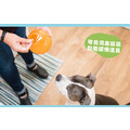 【寵物益智藏食玩具】Planet Dog Snoop耐咬埋鼻缽（S / 4色）（不附藏食蓋）_19
