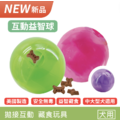 【寵物益智藏食玩具】Planet Dog 互動益智球（4色）