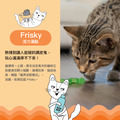 【歐卡貓草毛毛蟲】Orkakat Catnip Wiggle Worm｜咀嚼、玩耍、潔牙三合一的貓咪玩具！吸引貓咪必備_8