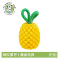 【寵物益智藏食玩具】Planet Dog 咬咬鳳梨