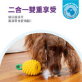 【寵物益智藏食玩具】Planet Dog 咬咬鳳梨_3