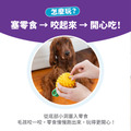【寵物益智藏食玩具】Planet Dog 咬咬鳳梨_5