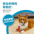 【狗狗潔牙玩具】T型BBQ史迪克，取代潔牙骨，兼具潔牙、玩耍與抗憂鬱的好選擇！_5