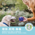 【寵物益智藏食玩具】Planet Dog 咬咬鳳梨_8