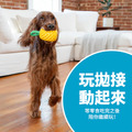 【寵物益智藏食玩具】Planet Dog 咬咬鳳梨_6