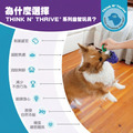【寵物益智藏食玩具】Planet Dog 咬咬葡萄_6