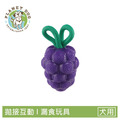 【寵物益智藏食玩具】Planet Dog 咬咬葡萄