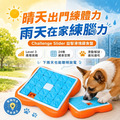 Nina Ottosson 機智狗百寶巧拼 LV3｜24 格狗狗滑塊藏食玩具