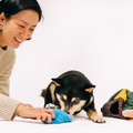 Play Pet Camp Corbin 科爾賓露營系列｜五款造型_5