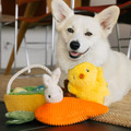 Play Pet Hippity Hoppity 蹦蹦復活節系列｜三款造型_6
