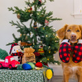 Play Pet Home for the Holidays 節日居家系列｜五款冬日互動玩具