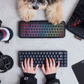 Play Pet HyperX x P.L.A.Y. 遊戲玩具系列｜三款發聲絨毛玩具_1
