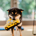 Play Pet Canine Commute 狗狗好行系列｜五款交通工具互動玩具_3