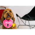 Play Pet Love Bug 愛情多惱集｜三款愛心造型互動玩具_9