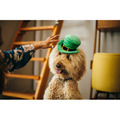 Play Pet Mutt Hatter 派頭小子帽子系列｜五款造型_1