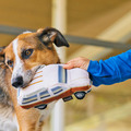 Play Pet 80s Classics 經典 80 年代系列｜五款復古互動玩具_5