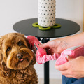 Play Pet 80s Classics 經典 80 年代系列｜五款復古互動玩具_1