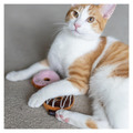P.L.A.Y. Feline Frenzy Food Collection｜美食貓草玩具（五款）_5